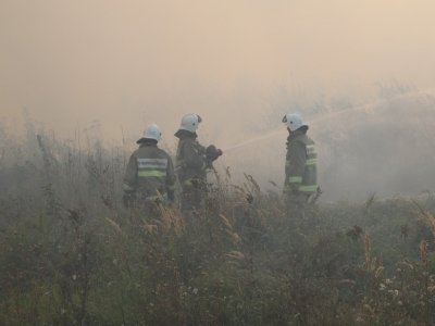 В Башгидромете назвали наиболее неблагоприятные по пожароопасности месяцы