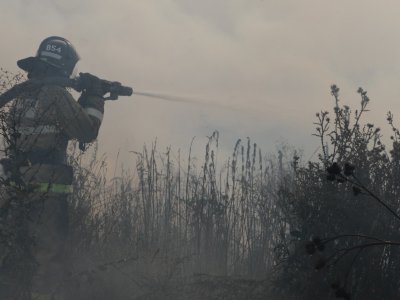 На территории Башкирии с 27 апреля вводится особый противопожарный режим