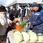 Сегодня в Башкирии продолжат работу сельскохозяйственные ярмарки