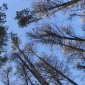 На территории лесного фонда Башкирии открывается пожароопасный сезон