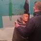 В Башкирии убийца-рецидивист забил до смерти свою супругу