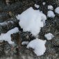 МЧС по Башкирии предупреждает о мокром снеге, гололеде и сильном ветре