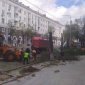 В Уфе на улице Ленина вместо старых спиленных деревьев высадят 50 крупномеров