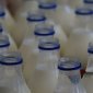 Башкирия более чем в два раза нарастила экспорт молочной продукции в Казахстан