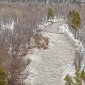 На реке Нугуш в Башкирии образовался ледяной затор