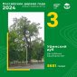 Уфимский дуб стал бронзовым призером конкурса «Российское дерево года–2024»