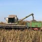 В Башкирии намолотили 57 тысяч тонн семян подсолнечника