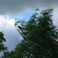 В ближайшие сутки в Уфе ожидаются сильный ветер и дождь