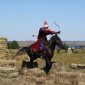 В Башкирии займутся изучением башкирской лошади и созданием внутрипородных типов