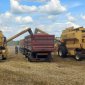 В Башкирии за два дня собрали 25 тыс. тонн зерна нового урожая