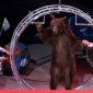 В Башкирии обнаружили нелегально гастролирующий цирк