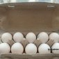В Башкирии восстанавливается массовое производство яиц