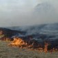 Тема – огонь! Шесть главных вопросов про противопожарный сезон в Башкирии