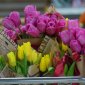 В Башкирии без ведома владельца продали цветочный павильон