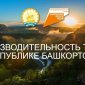 Башкирия - в Топ-7 регионов по числу участников цифровой платформы нацпроекта