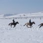 В Абзелиловском районе Башкирии состоялись конно-спортивные состязания