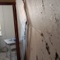 В минздраве Башкирии сообщили о состоянии пострадавших при взрыве газа в доме