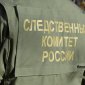 В Следкоме России взяли на контроль инцидент с раненым подростком в Башкирии