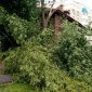 Падение дерева в Уфе стало возможной причиной смерти женщины