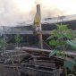 Пожар на птицеферме в Башкирии: в огне погибла тысяча птиц