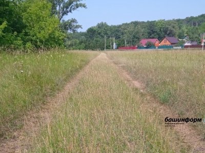Депутаты Башкирии предлагают изымать у владельцев неиспользуемые сельхозземли
