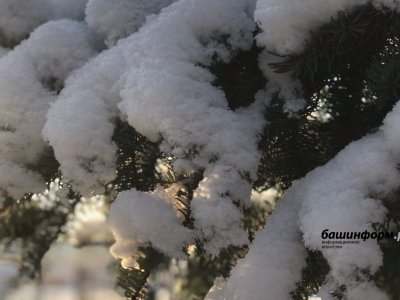 Мокрый снег, порывистый ветер, 0 градусов: прогноз погоды в Башкирии на 8 марта