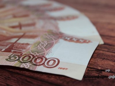 В Башкирии выросли денежные доходы на душу населения