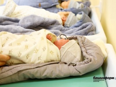 В Башкирии стало известно число детей, рожденных в начале 2024 года