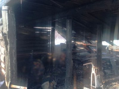 В Башкирии при пожаре в сарае сгорели заживо две коровы, пять телят и 200 кур