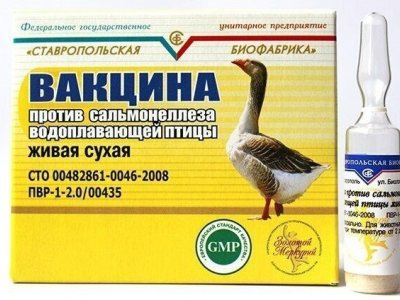 В Башкирии приостановили продажу ветеринарной вакцины против сальмонеллеза