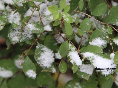МЧС предупреждает о снеге и сильных заморозках в Башкирии
