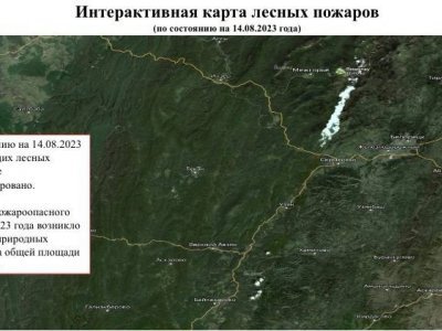 На территории Башкирии за сутки зарегистрирован один лесной пожар - госкомитет по ЧС