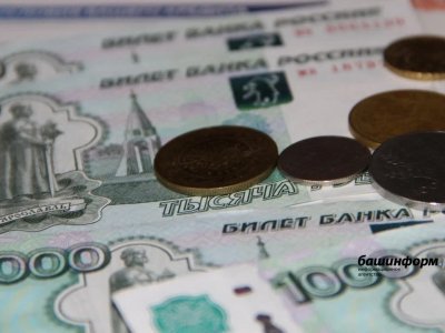 Жители Башкирии могут получить 350 тысяч рублей на открытие своего дела