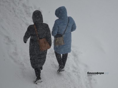 МЧС по Башкирии предупреждает граждан о сильных порывах ветра