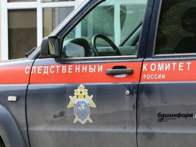 В Уфе арестованы экс-директор ТД «Башспирт» и его сообщник