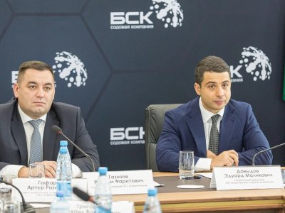 Эдуард Давыдов возглавил Совет директоров предприятий Стерлитамака