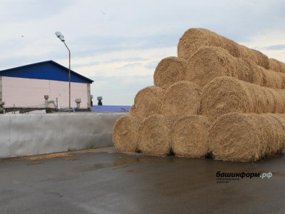 Предприятия Башкирии отправили на экспорт 53,2 тонны кормов для животных