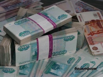В Башкирии самозанятые уплатили в бюджет 288 млн рублей налога на профессиональный доход