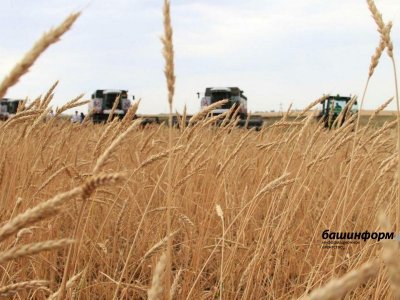 В Башкирии значительно увеличилось число приобретаемой аграриями техники