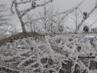 В некоторых районах Башкирии похолодает до -28 градусов