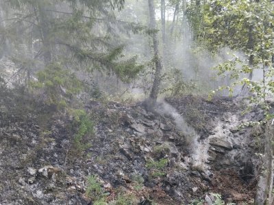 Виновников лесных пожаров в Башкирии оштрафовали на 2 млн рублей