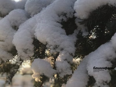В горных районах Башкирии в первые дни весны прогнозируется плюсовая температура