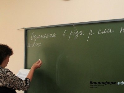 В Башкирии определили трёх победителей программы «Земский учитель»