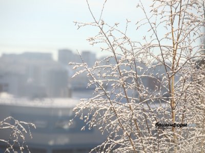 В воскресенье в Башкирии потеплеет до +9°