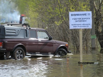 Оздоровление рек, сосчитали зверей, вода прибывает: новости России и Башкирии к 29 марта