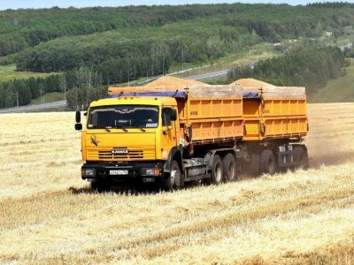 Уборка урожая идёт в 10 районах Башкирии