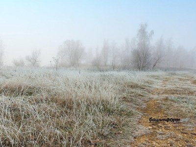 Ночью в Башкирии ожидаются заморозки до -2 градусов