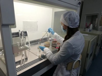 В Уфе будут изучать микробиом человека при раковых и глазных заболеваниях