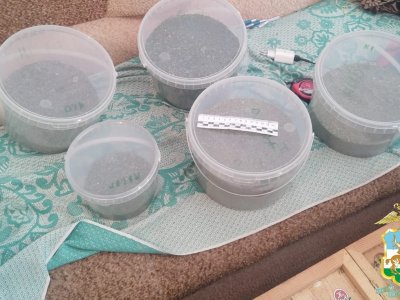 У жителя Башкирии нашли почти 2 кг марихуаны