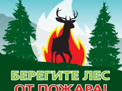 С начала года лесные пожары прошли в Башкирии почти 1000 гектаров леса